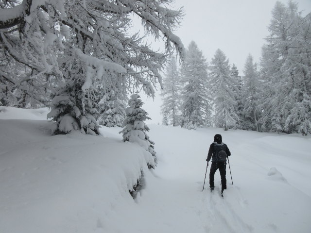 Frank zwischen Gnadenbr&uuml;cke und B&auml;rwurzkaralm