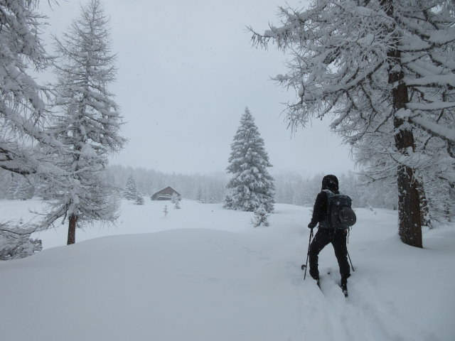 Frank auf der B&auml;rwurzkaralm