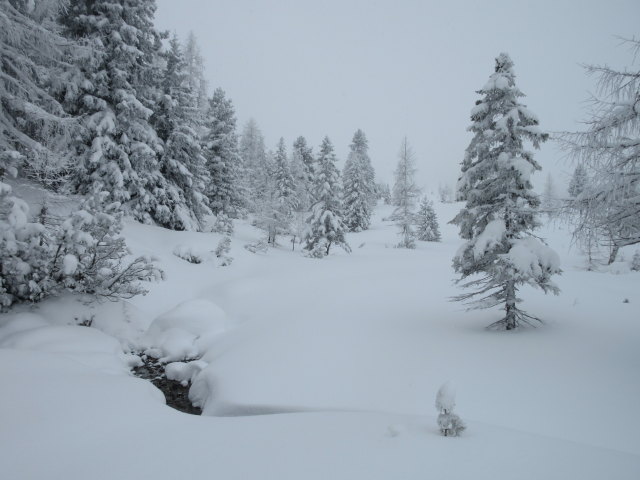 zwischen B&auml;rwurzkaralm und Scheckkopf