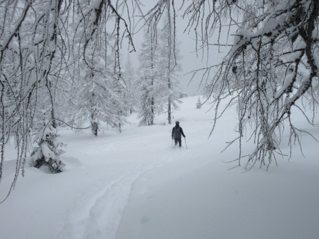 Frank zwischen Scheckkopf und B&auml;rwurzkaralm