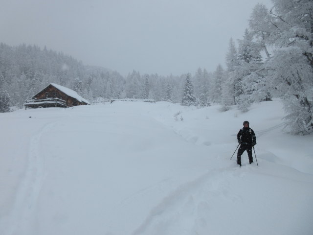 Frank auf der B&auml;rwurzkaralm
