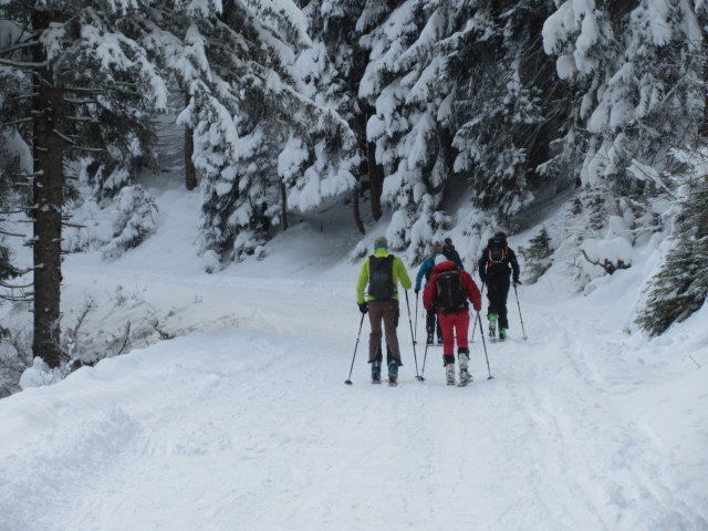 Trattbergstra&szlig;e zwischen Mautstation und Enzianh&uuml;tte