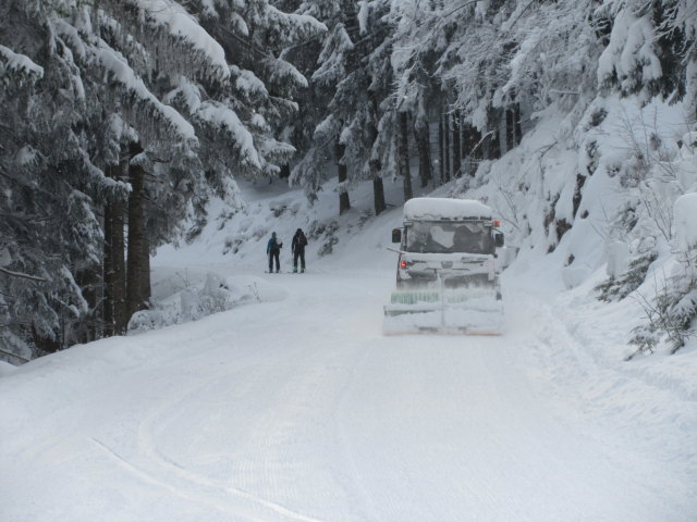 Trattbergstra&szlig;e zwischen Mautstation und Enzianh&uuml;tte