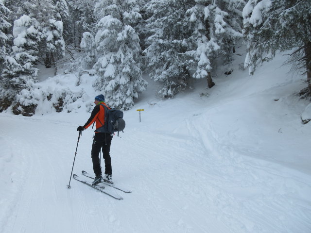 Frank auf der Trattbergstra&szlig;e zwischen Mautstation und Enzianh&uuml;tte
