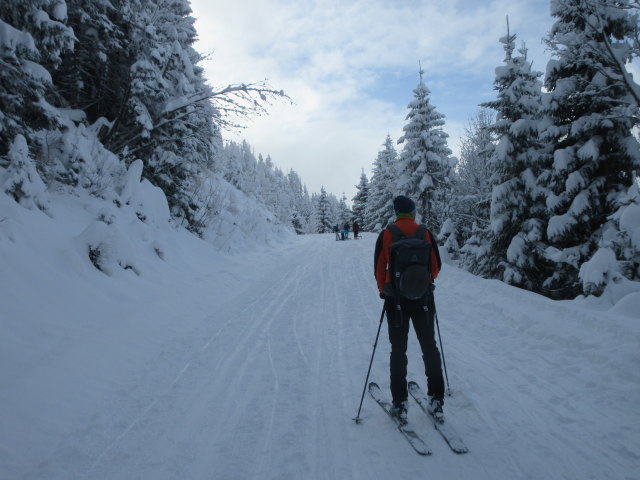 Frank auf der Trattbergstra&szlig;e zwischen Mautstation und Enzianh&uuml;tte