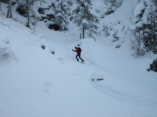 neben der Trattbergstra&szlig;e zwischen Mautstation und Enzianh&uuml;tte
