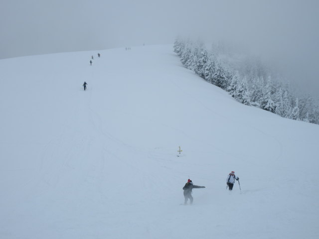 zwischen Vordertrattbergalm und Trattberg