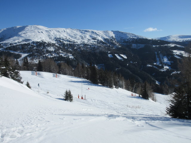 Sonnleitenpiste Nord