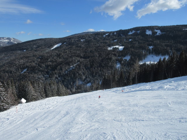 Melanie auf der Wildparkabfahrt