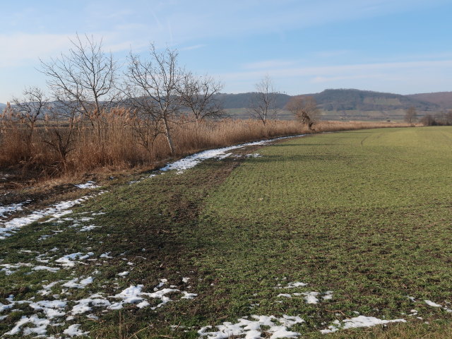 zwischen Donnerskirchen und Purbach