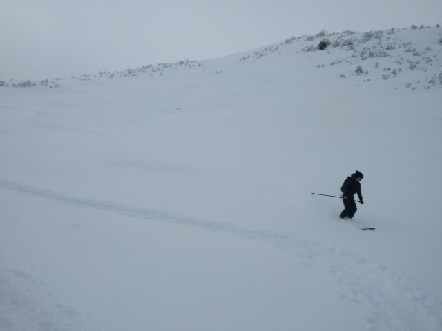 zwischen Plannerkessel und Goldbachscharte