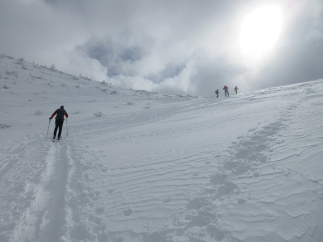 Frank zwischen Plannerkessel und Goldbachscharte