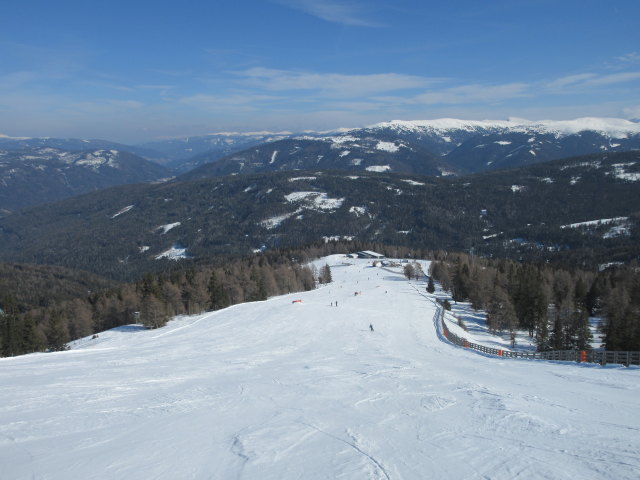 Frank auf der Almenabfahrt