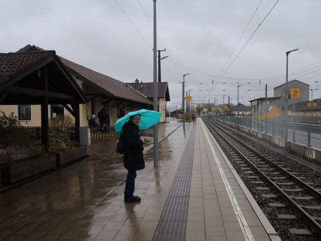 Sabine im Bahnhof Ober-Grafendorf, 276 m