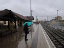 Sabine im Bahnhof Ober-Grafendorf, 276 m