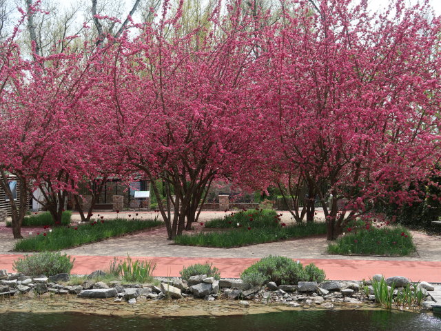 Die Garten Tulln