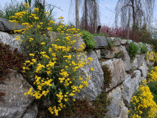 Die Garten Tulln