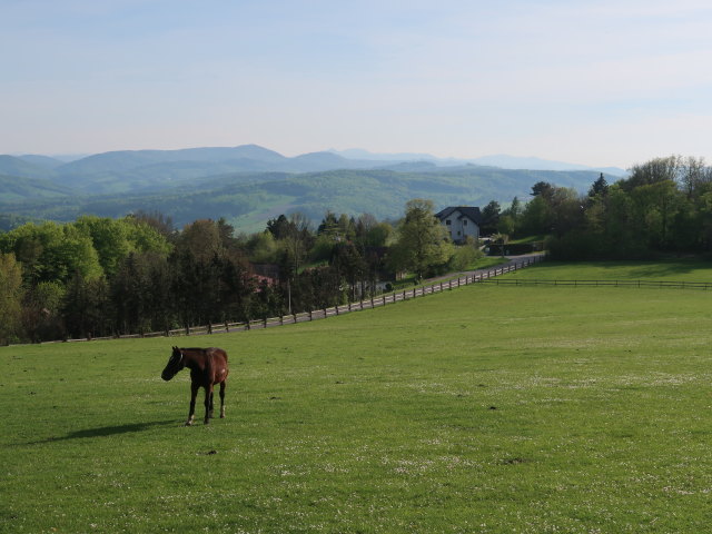 zwischen Kohlreithberg und Götzwiesen