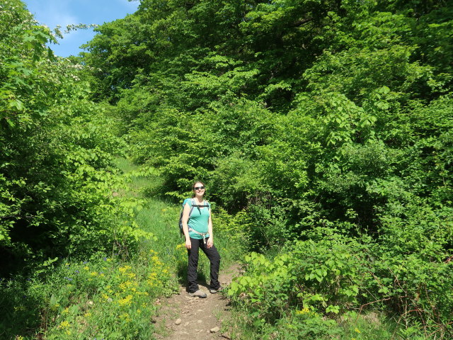 Sabine zwischen Burg Greifenstein und Eichenleitenberg