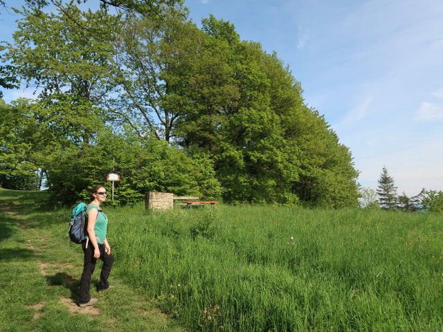 Sabine zwischen Hadersfeld und Obelisk Hadersfeld