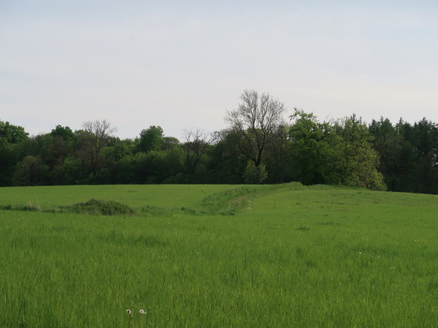 zwischen Hadersfeld und Köbering