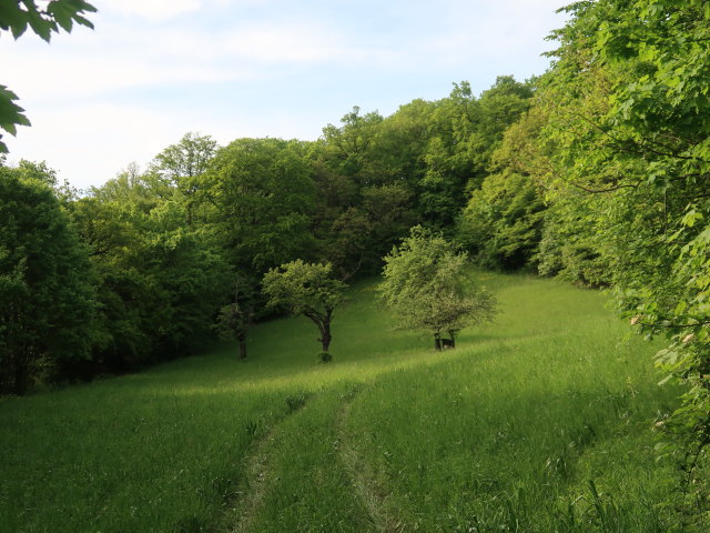 zwischen Köbering und Wördern