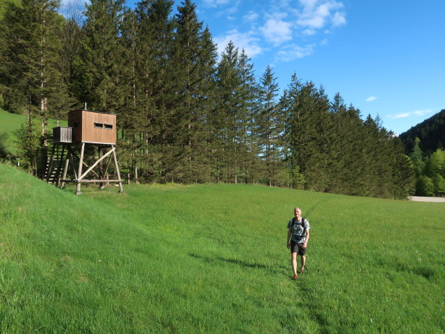 Frank auf der Gro&szlig;en Kripp, 696 m
