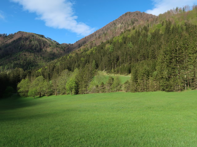 Große Kripp, 696 m