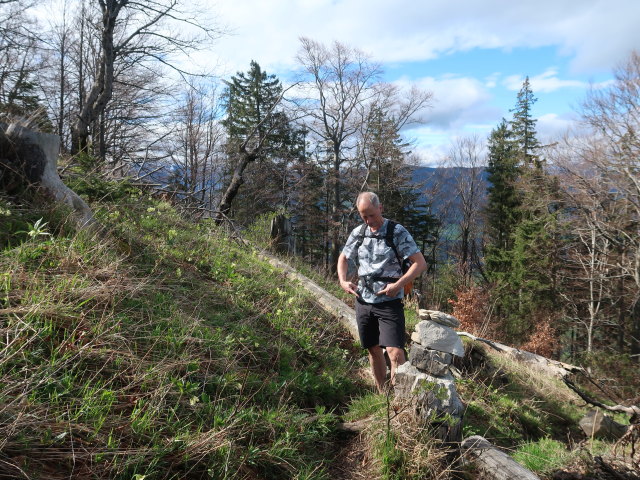 Frank zwischen Gro&szlig;er Kripp und Friesling