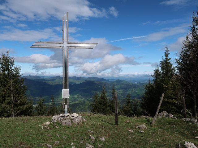 Friesling-S&uuml;dwestgipfel, 1.339 m