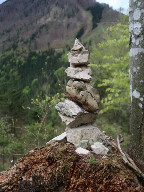 zwischen Friesling und Gro&szlig;er Kripp