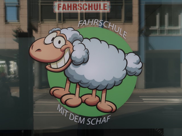 Fahrschule mit dem Schaf in Saarbrücken (18. Mai)