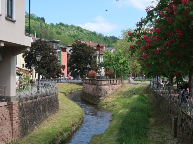 Seffersbach in Merzig (20. Mai)