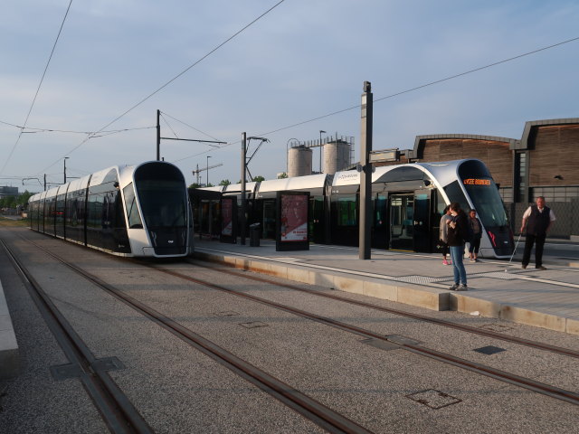 Halt Lycée Bouneweg in der Stater Tram in Lëtzebuerg (21. Mai)