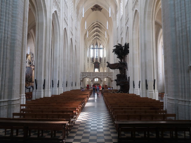 Sint-Pieterskerk in Leuven (28. Mai)