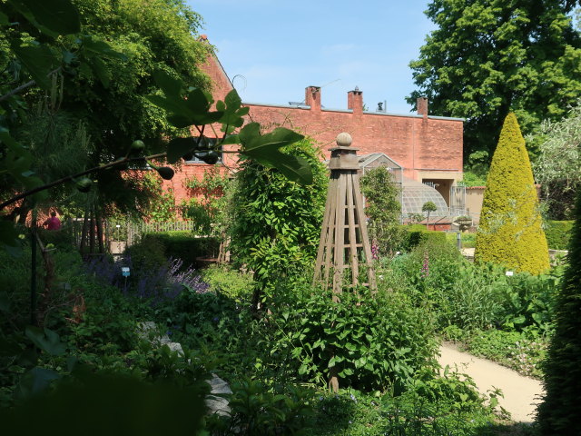 Kruidtuin in Leuven (28. Mai)