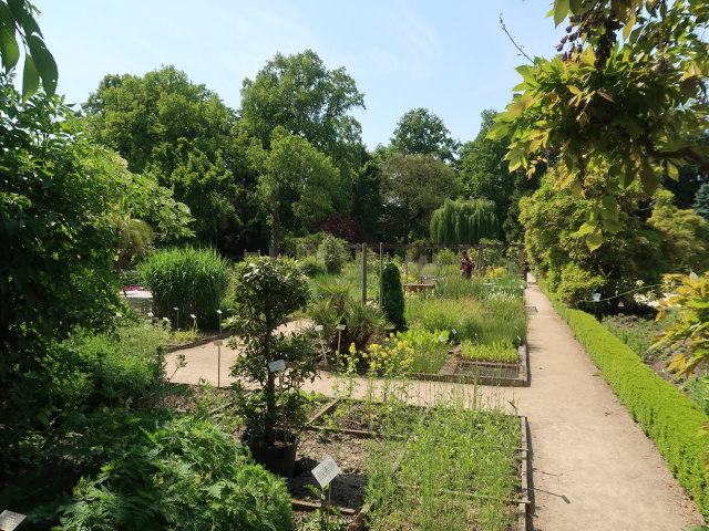 Kruidtuin in Leuven (28. Mai)