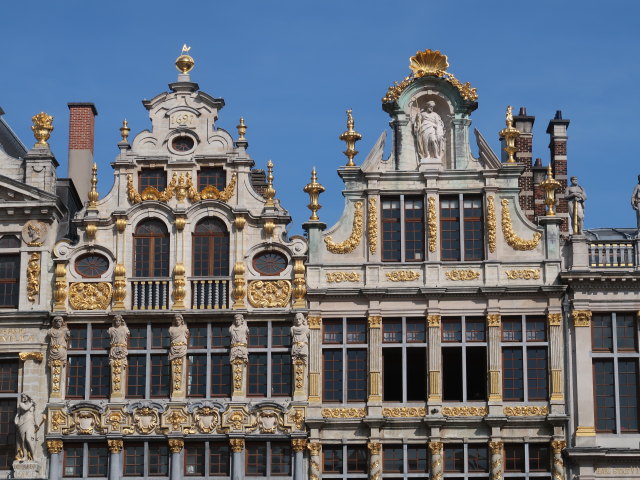 Grote Markt in Brussel (29. Mai)
