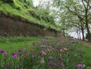 Citadelle in Liège (23. Mai)