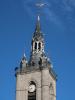 Cathédrale Notre-Dame in Tournai (24. Mai)