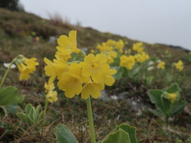zwischen Klobent&ouml;rl und Jahnkreuz