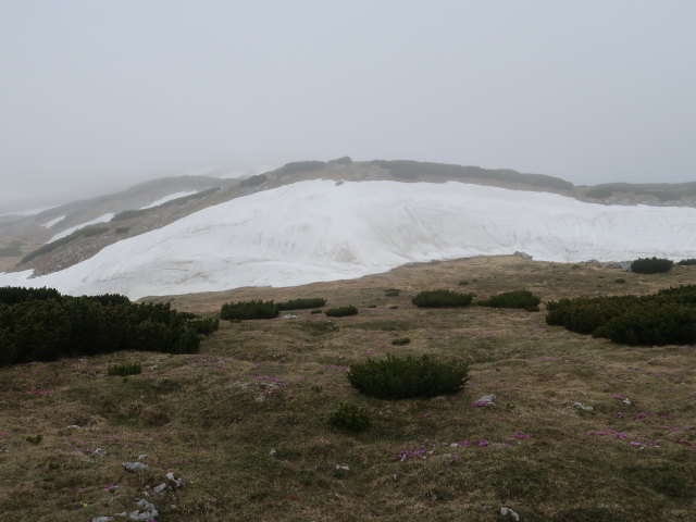 zwischen Klobent&ouml;rl und Jahnkreuz