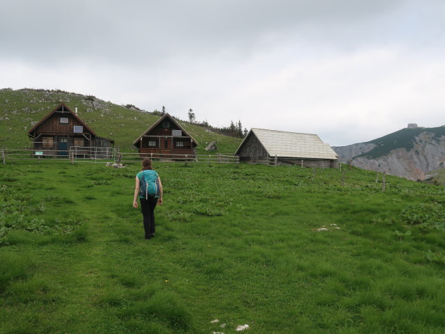 Sabine bei der Franzlbauerh&uuml;tte, 1.650 m