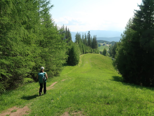 Sabine zwischen Jahnh&uuml;tte und Kerngraben