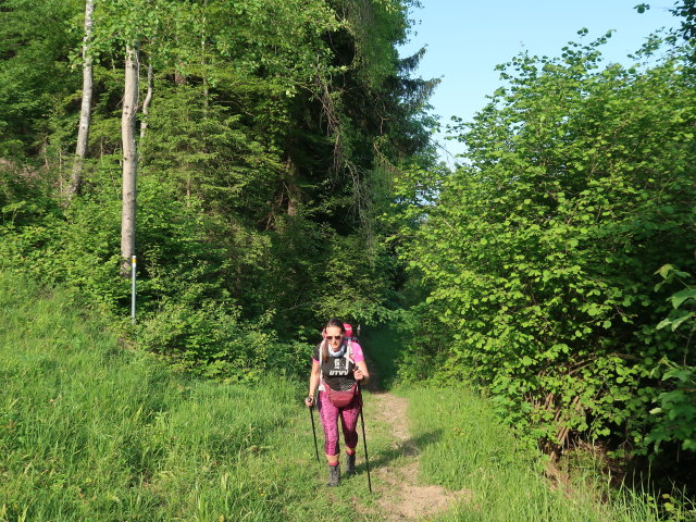 Ursa am Ludescherberg (8. Juni)