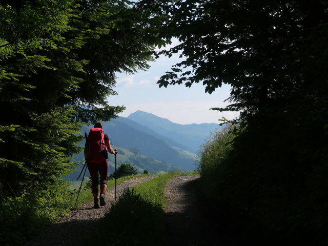 Ursa am Ludescherberg (8. Juni)