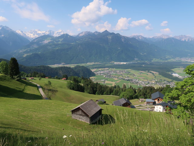 Ludescherberg (8. Juni)