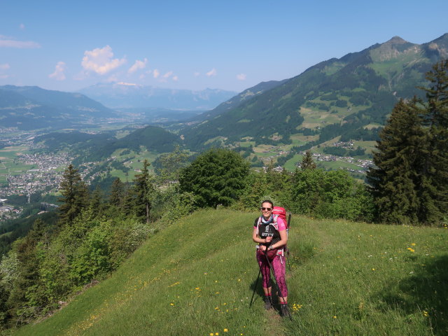 Ursa zwischen Ludescherberg und Nitzkopf (8. Juni)