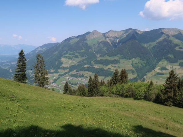 zwischen Ludescherberg und Nitzkopf (8. Juni)