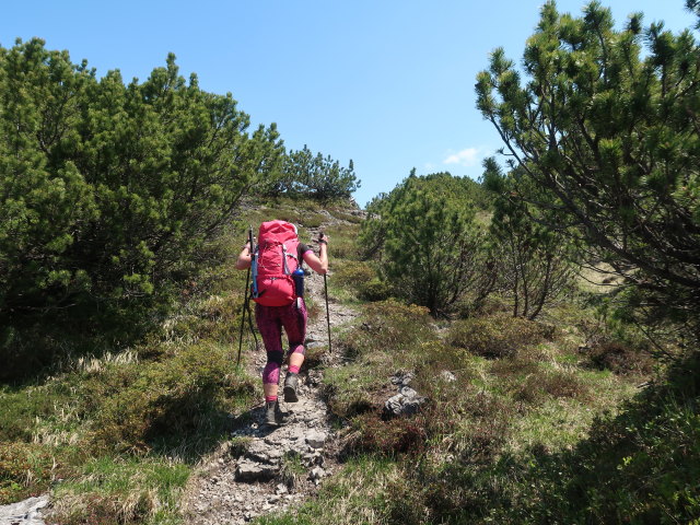 Ursa zwischen Nitzkopf und Hohem Fra&szlig;en (8. Juni)